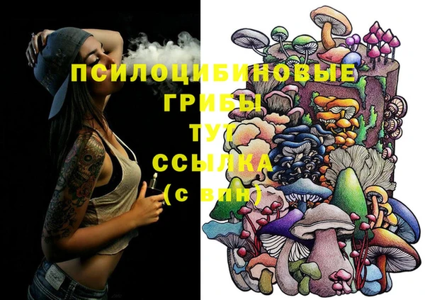 крисы Горнозаводск