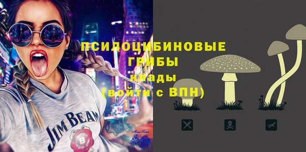 крисы Горнозаводск